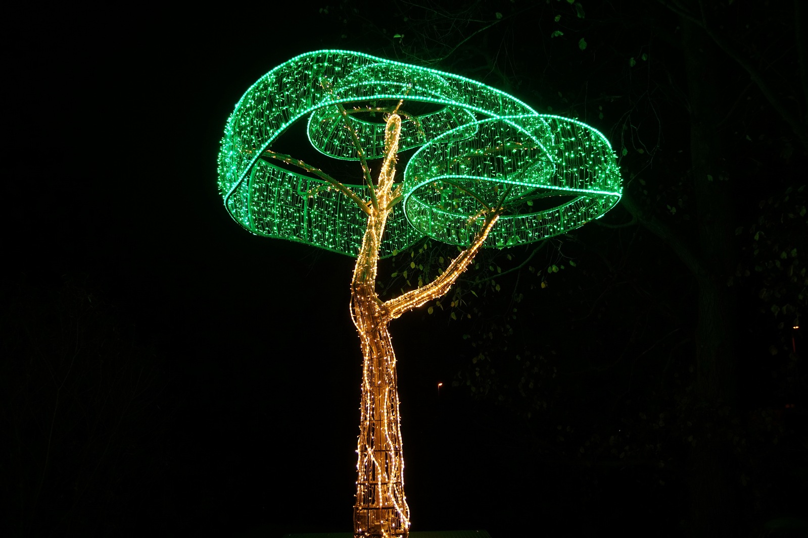 Zobaczcie „Tajemnicze Ogrody” w Lumina Park w zamku Topacz