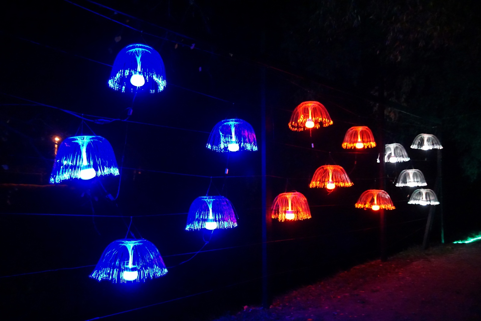 Zobaczcie „Tajemnicze Ogrody” w Lumina Park w zamku Topacz