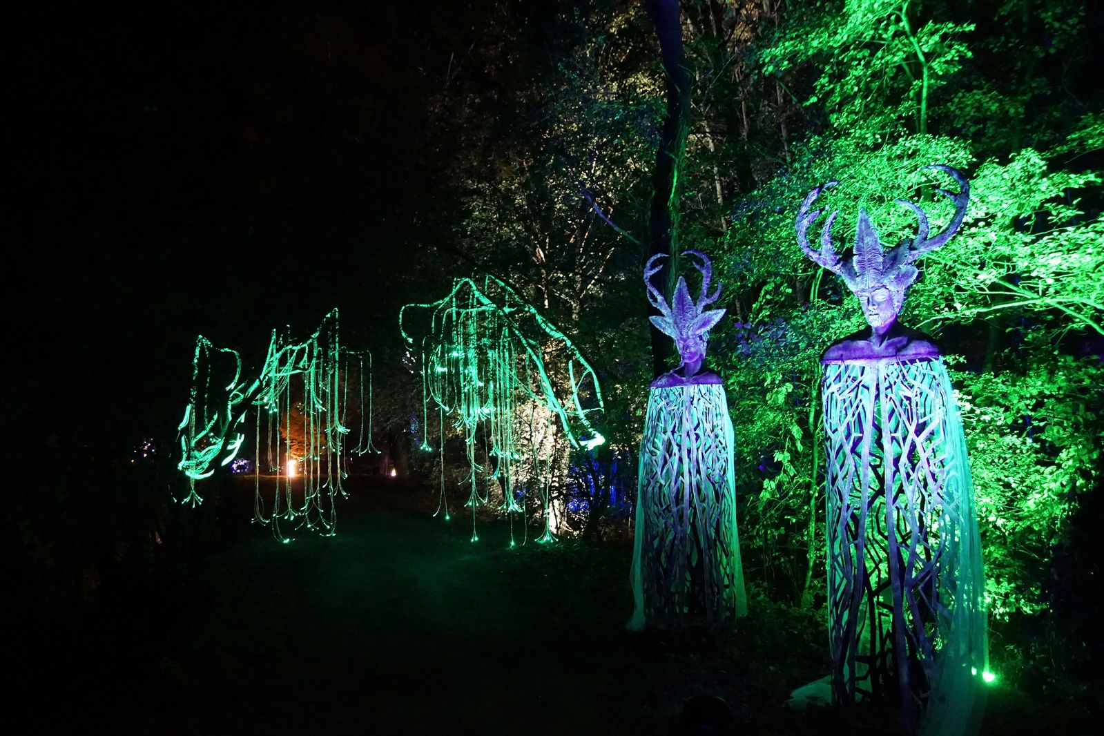 Zobaczcie „Tajemnicze Ogrody” w Lumina Park w zamku Topacz