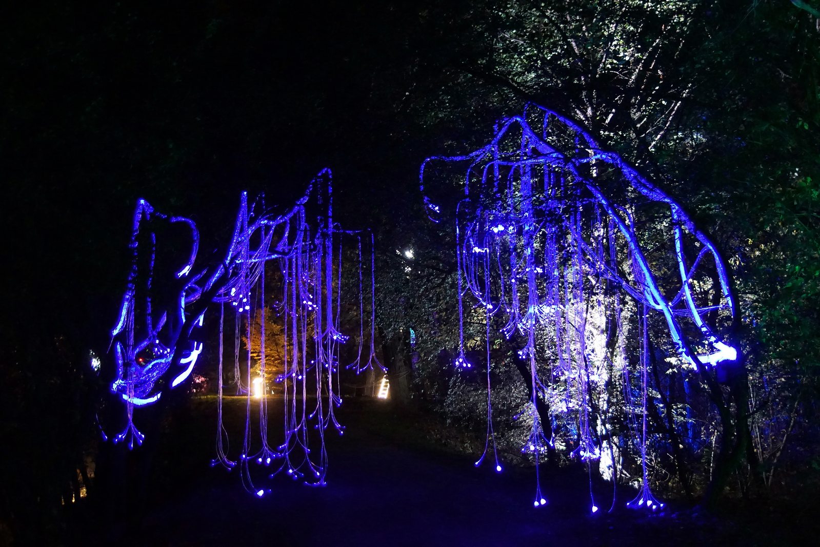 Zobaczcie „Tajemnicze Ogrody” w Lumina Park w zamku Topacz