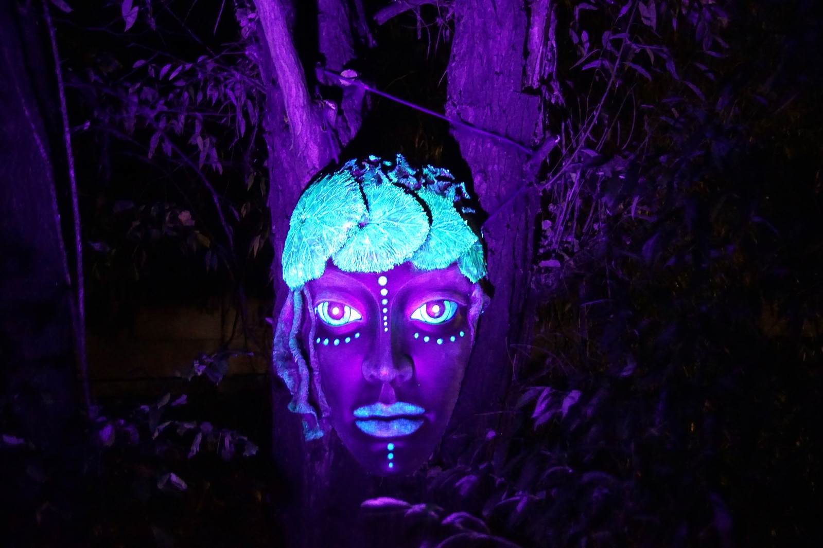 Zobaczcie „Tajemnicze Ogrody” w Lumina Park w zamku Topacz