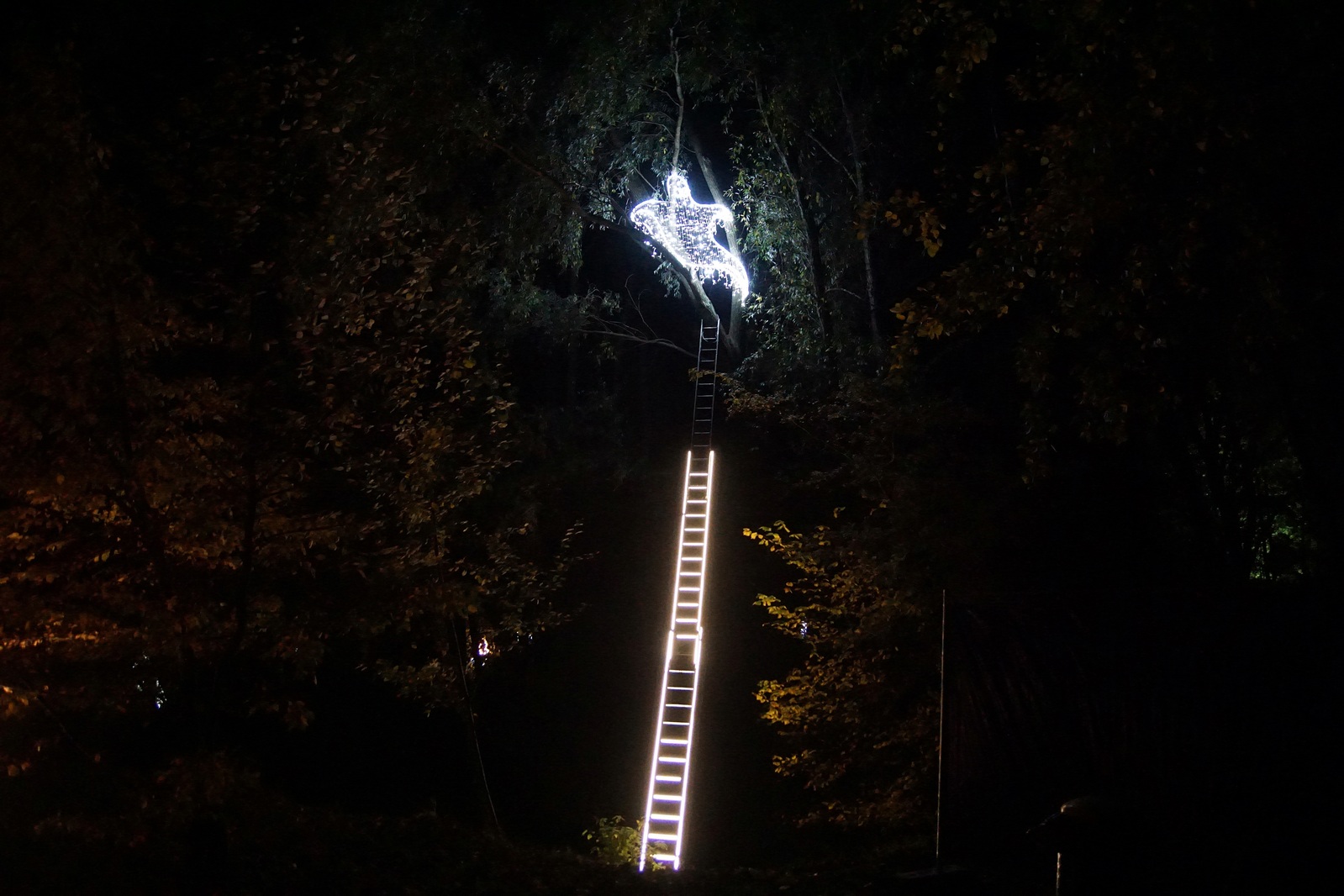 Zobaczcie „Tajemnicze Ogrody” w Lumina Park w zamku Topacz