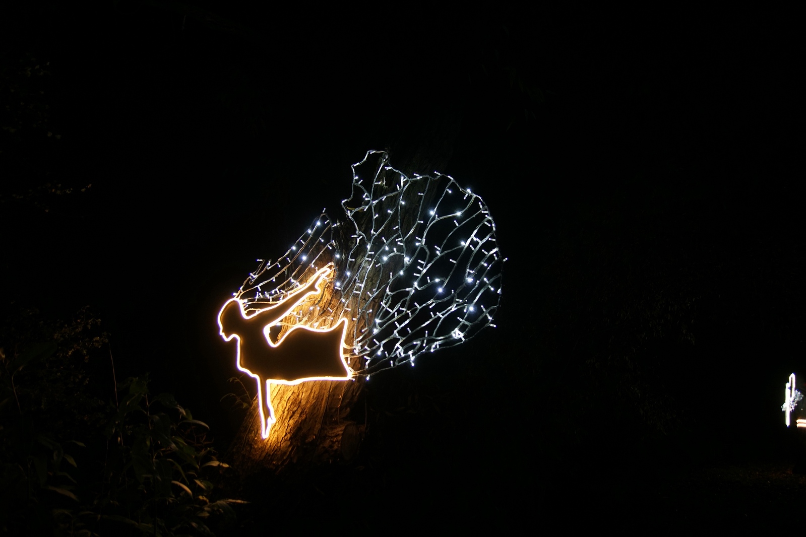 Zobaczcie „Tajemnicze Ogrody” w Lumina Park w zamku Topacz