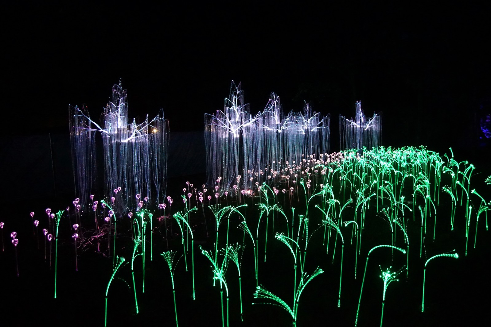 Zobaczcie „Tajemnicze Ogrody” w Lumina Park w zamku Topacz