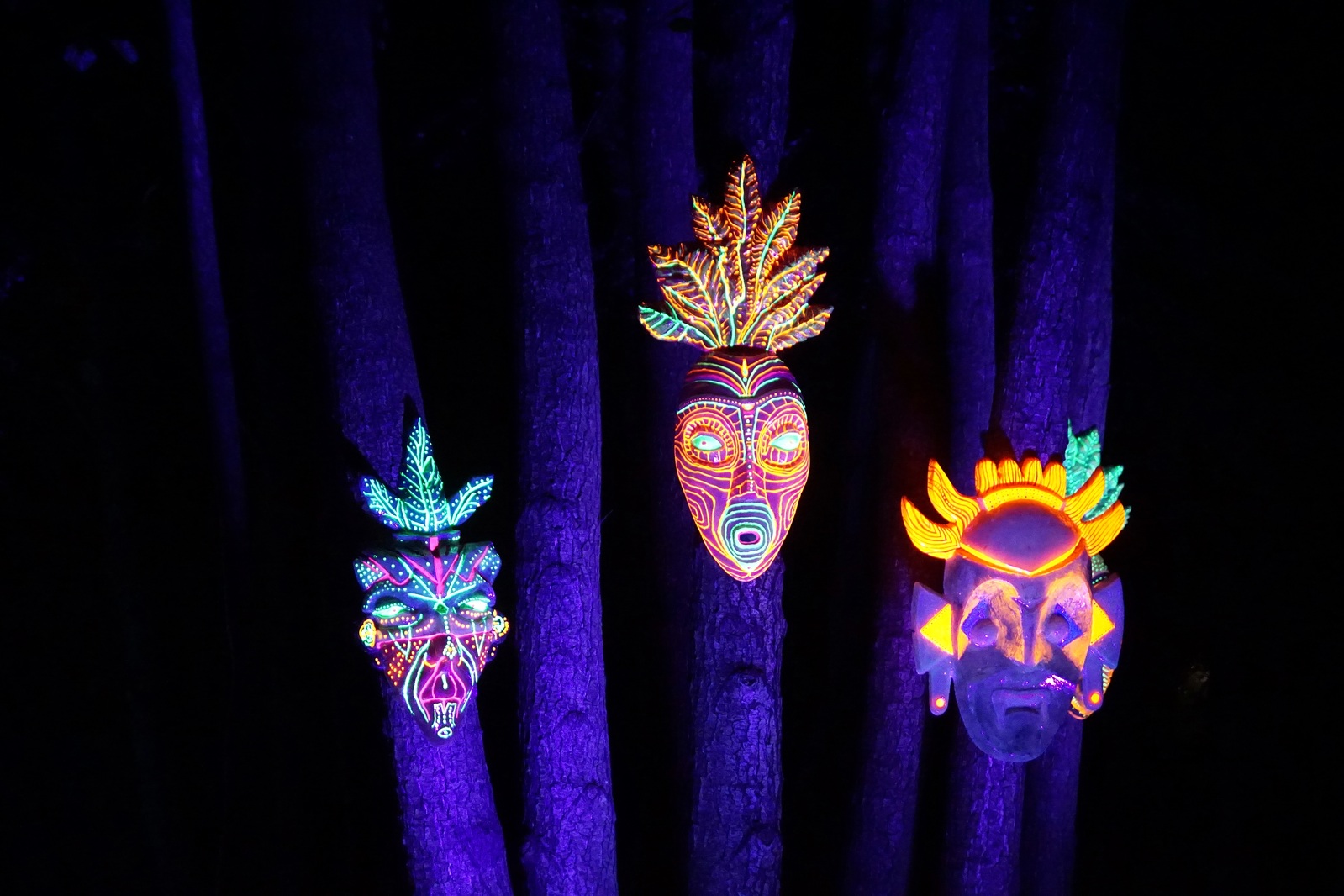 Zobaczcie „Tajemnicze Ogrody” w Lumina Park w zamku Topacz