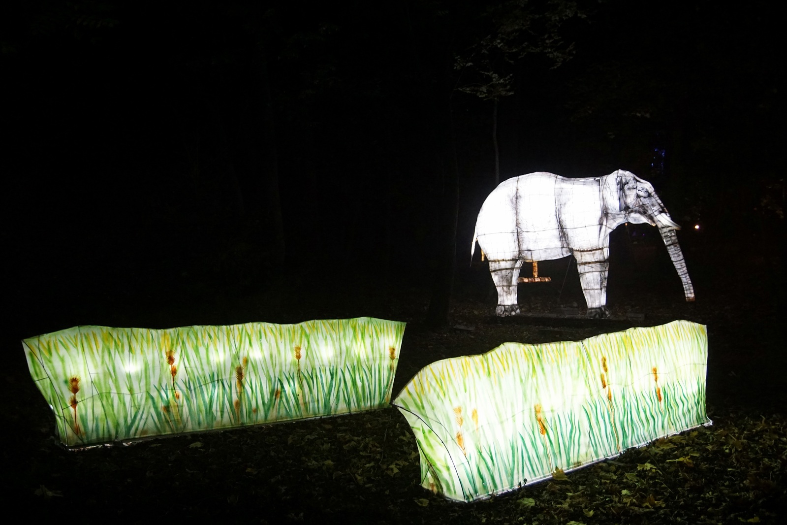 Zobaczcie „Tajemnicze Ogrody” w Lumina Park w zamku Topacz