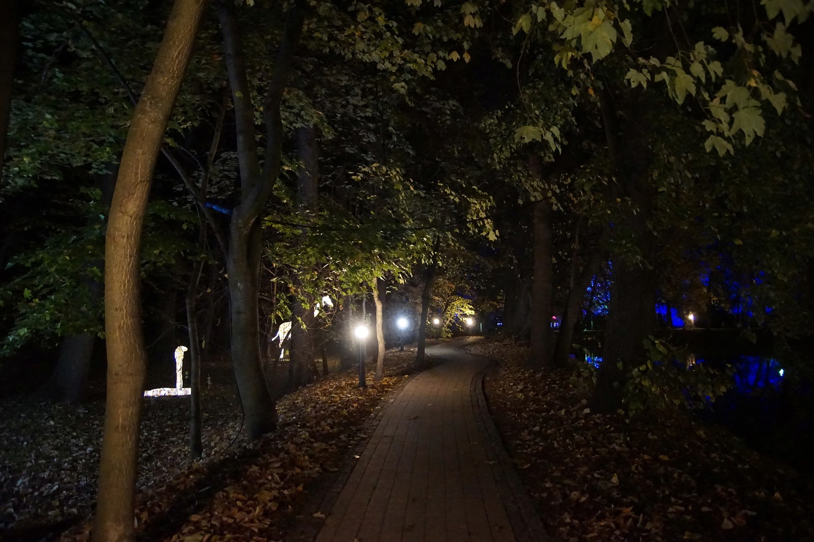 Zobaczcie „Tajemnicze Ogrody” w Lumina Park w zamku Topacz