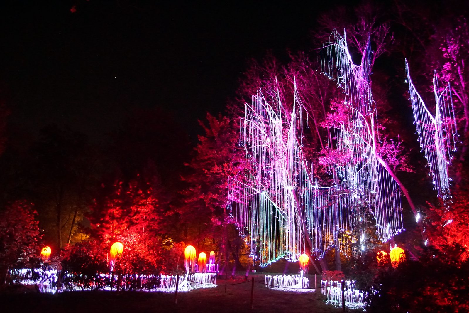 Zobaczcie „Tajemnicze Ogrody” w Lumina Park w zamku Topacz