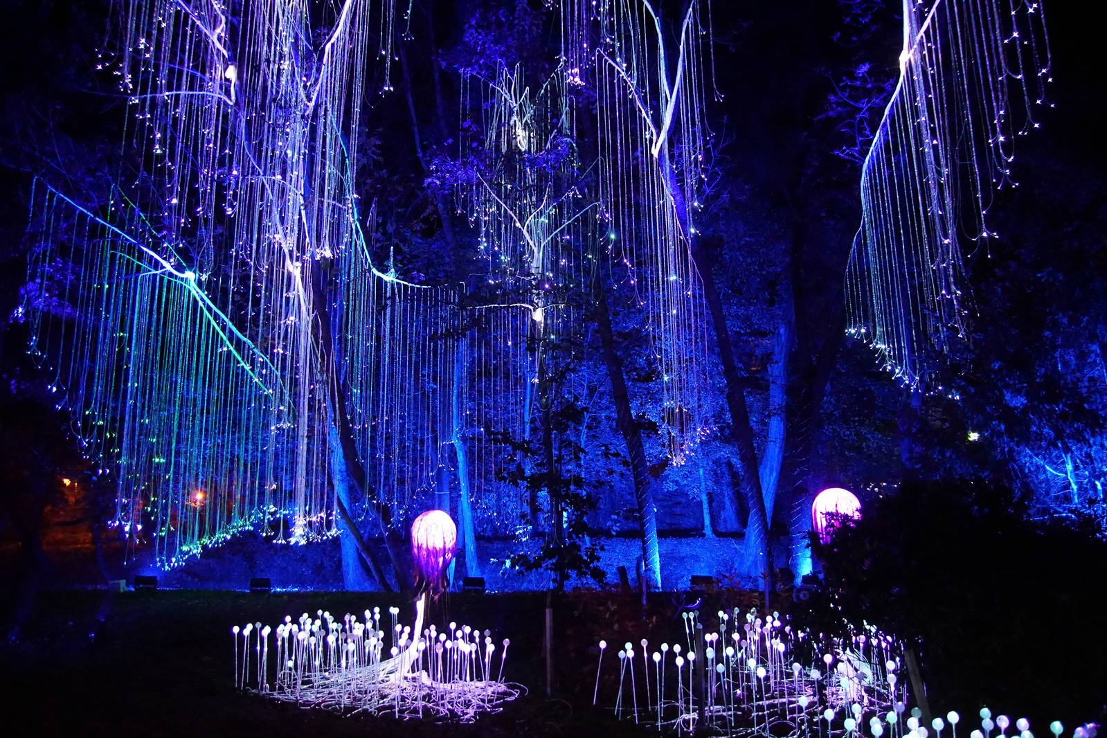 Zobaczcie „Tajemnicze Ogrody” w Lumina Park w zamku Topacz