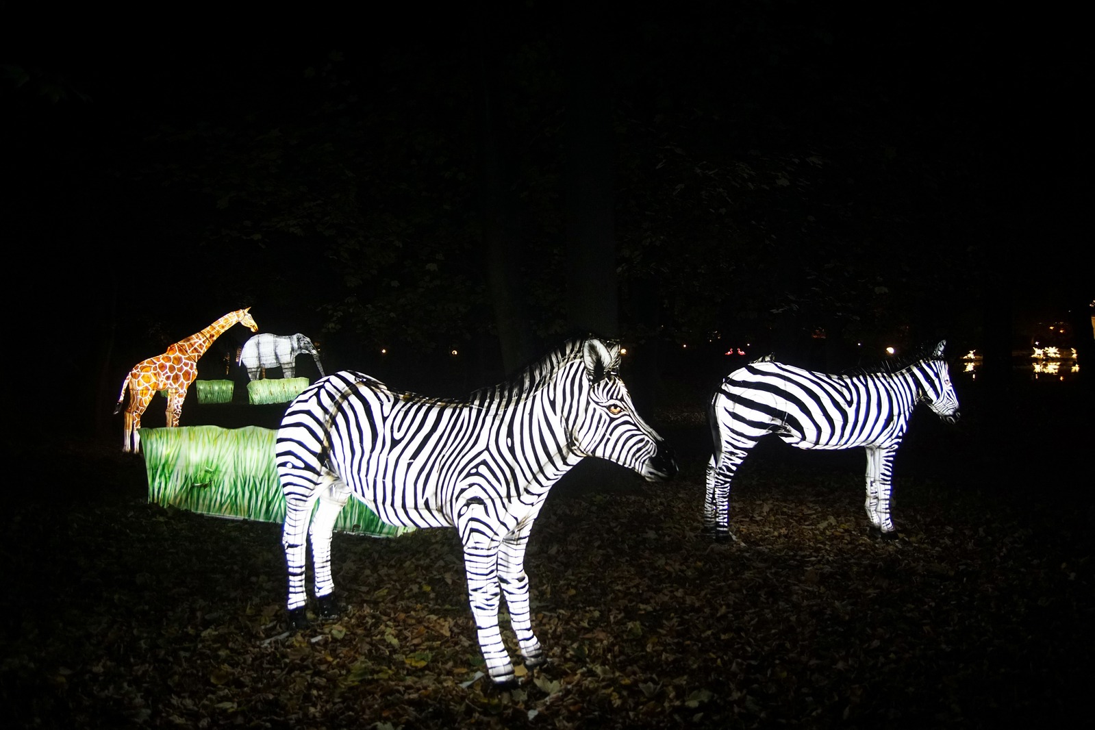 Zobaczcie „Tajemnicze Ogrody” w Lumina Park w zamku Topacz
