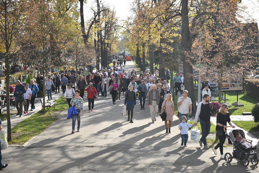 Legniczanie odkrywali tajemnice legnickiego cmentarza