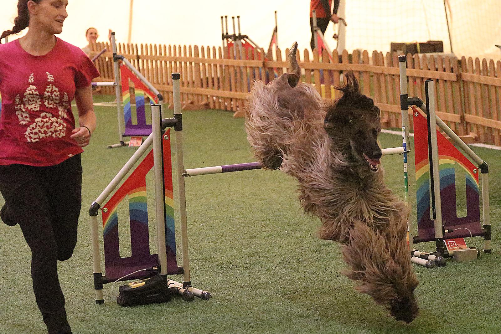 Otwarte Mistrzostwa Polski Agility 2022 w Legnicy. Dzień 2
