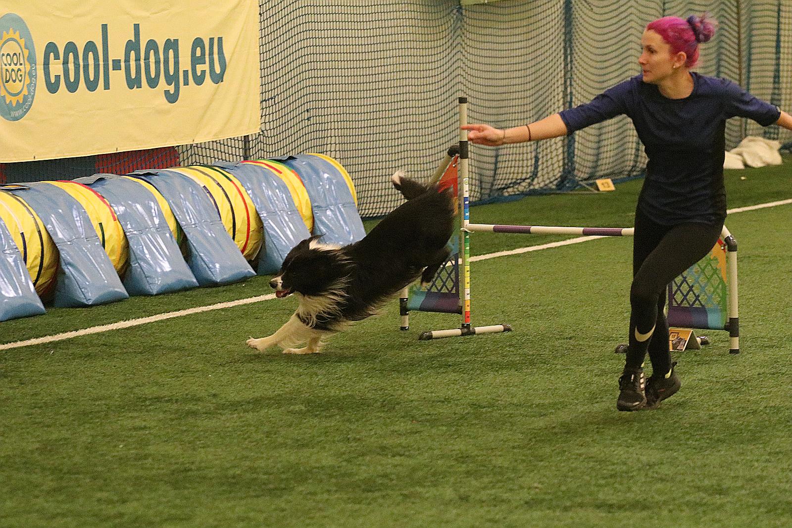 Otwarte Mistrzostwa Polski Agility 2022 w Legnicy. Dzień 3