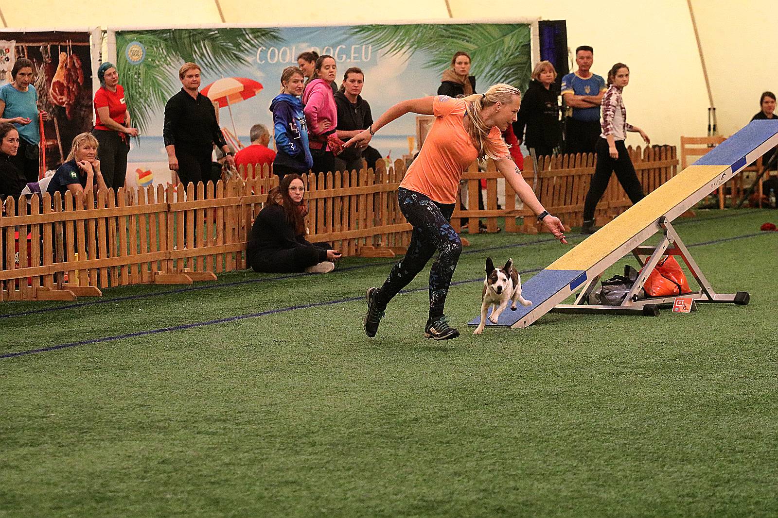 Otwarte Mistrzostwa Polski Agility 2022 w Legnicy. Dzień 3