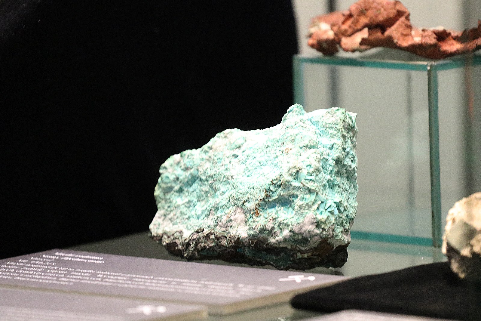 60 lat Muzeum Miedzi, czyli historia legnickiego muzeum