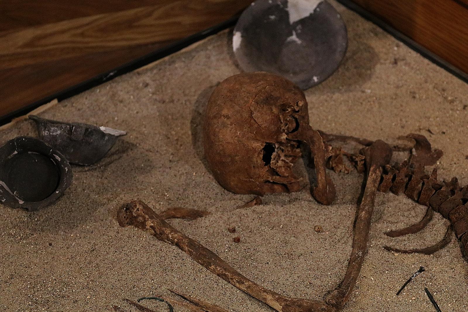 60 lat Muzeum Miedzi, czyli historia legnickiego muzeum