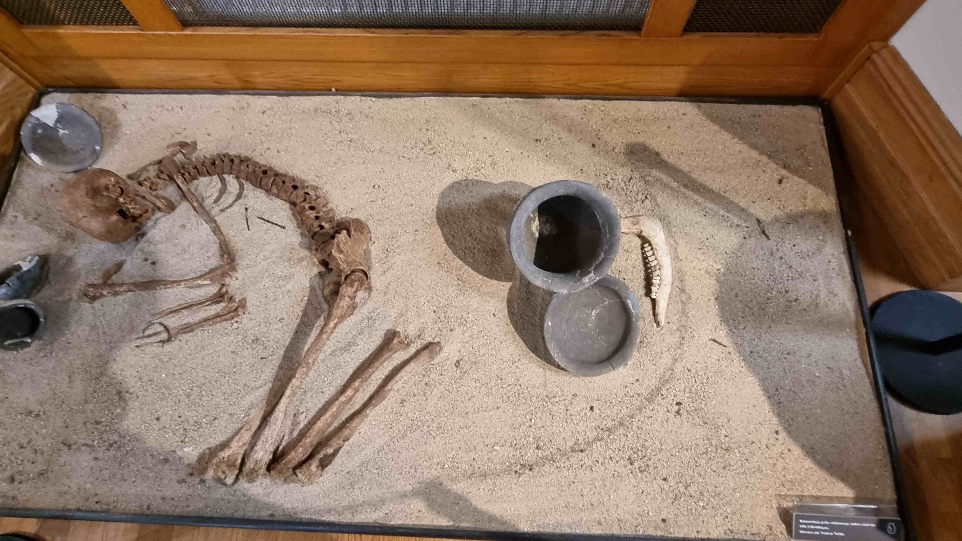 60 lat Muzeum Miedzi, czyli historia legnickiego muzeum