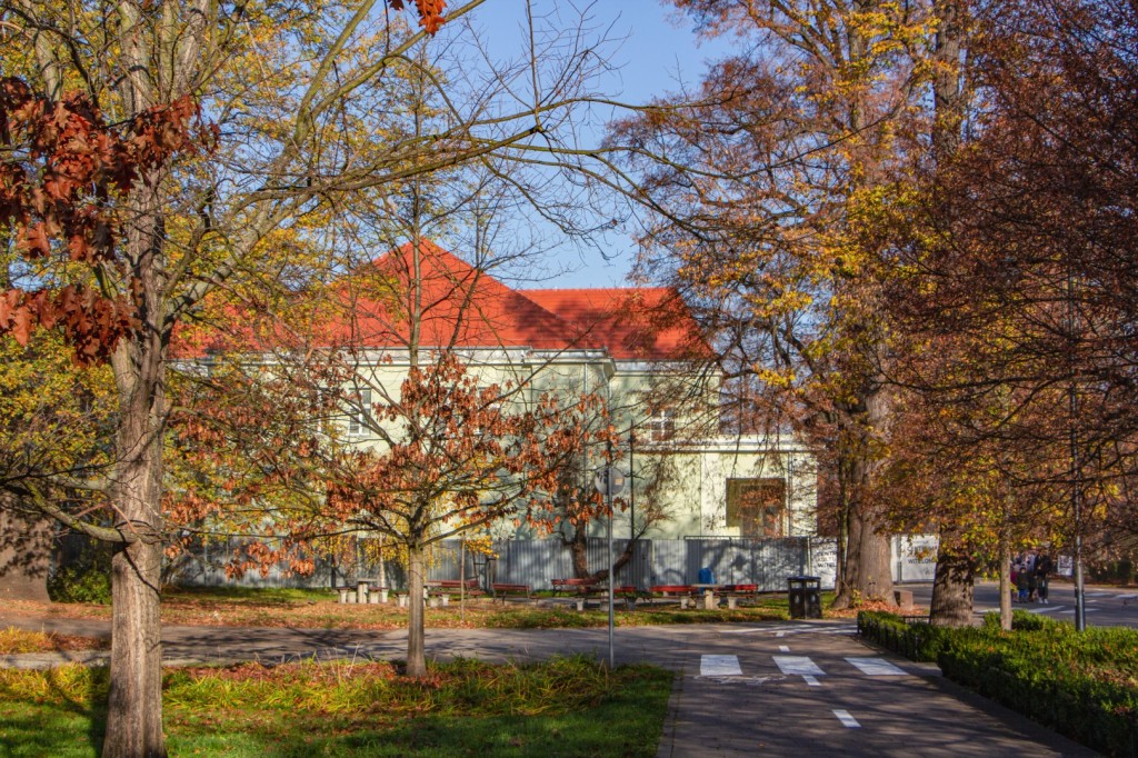 Zobacz jakie detale architektoniczne kryje Centrum Witelona