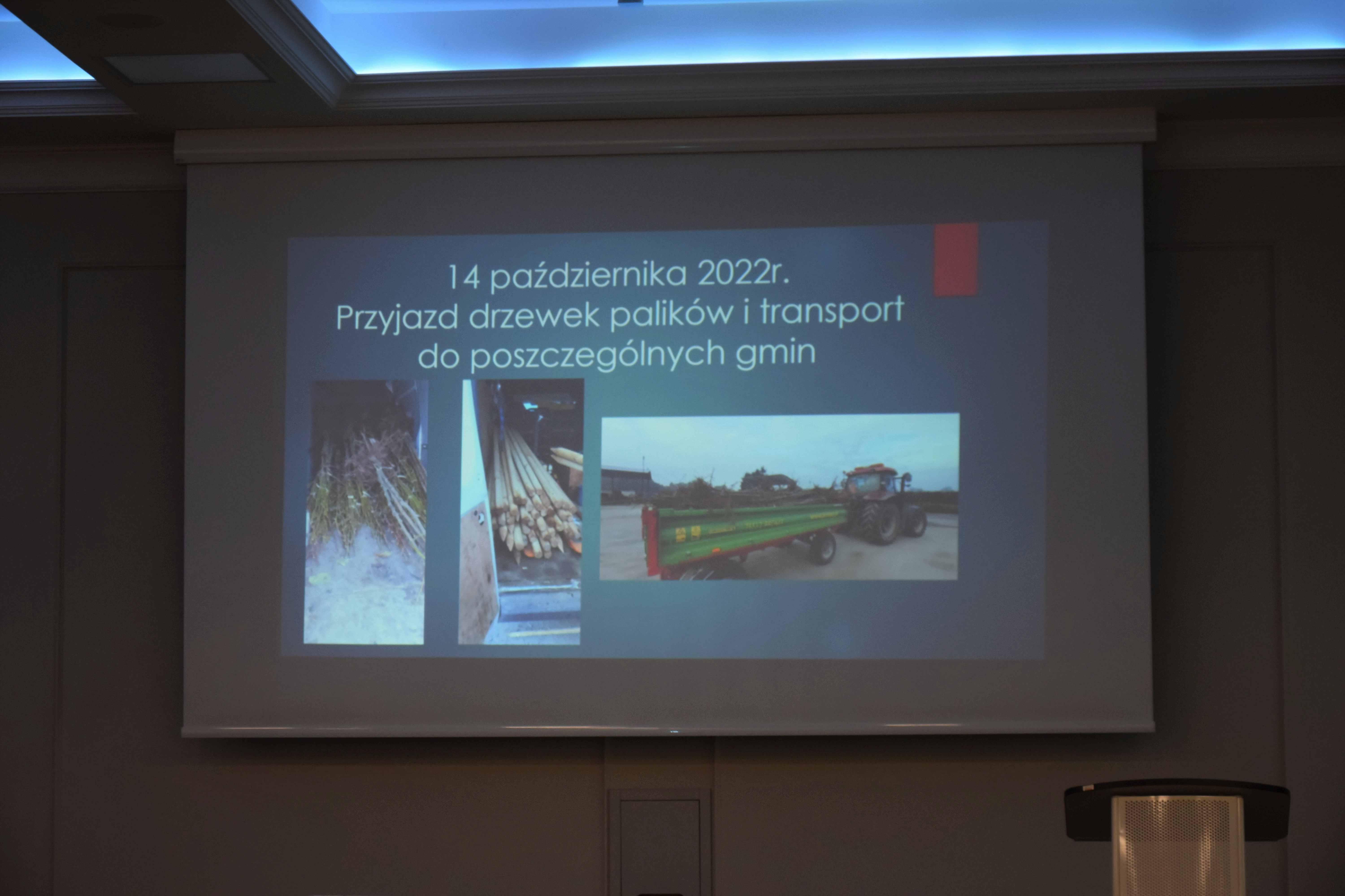 Mówili o tym, jak drzewostan wpływa na środowisko człowieka