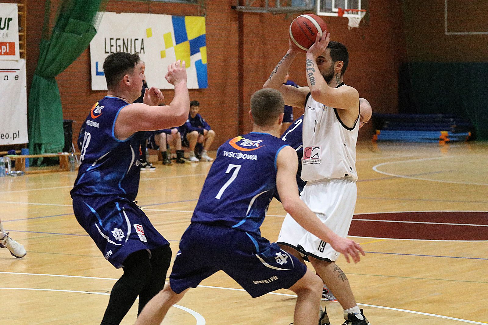 Koszykarze Basketu Legnica gładko wygrywają z WTS Wschowa