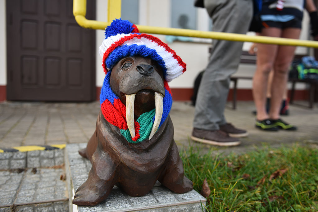 Mikołajkowe morsowanie na legnickim „Kormoranie”