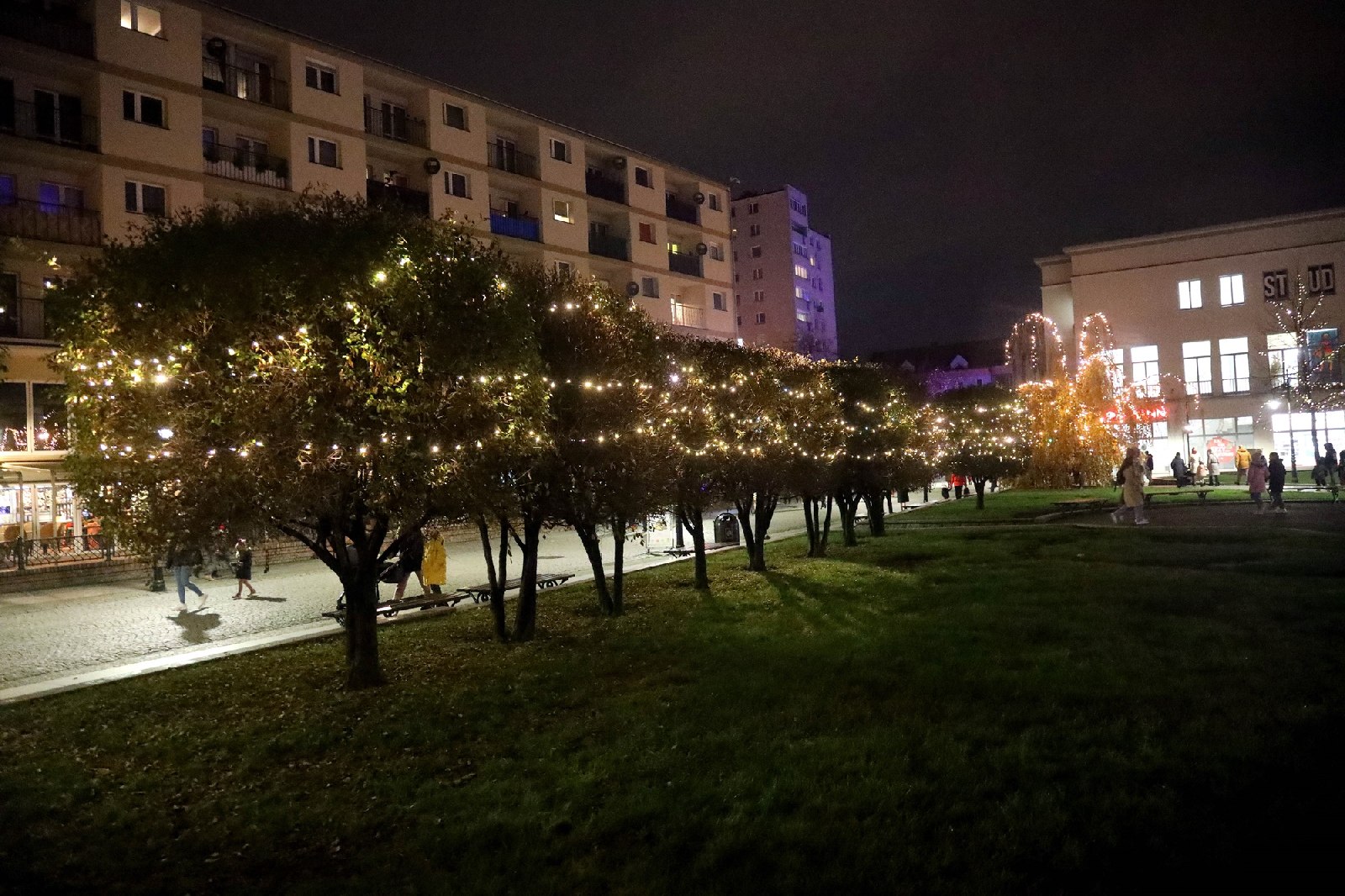 Rozbłysły świąteczne iluminacje w centrum miasta