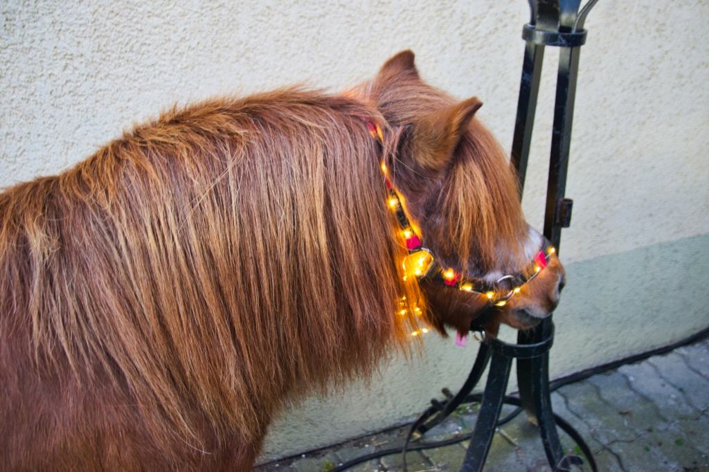 Mikołaj odwiedził dzieci z miasta i gminy Prochowice