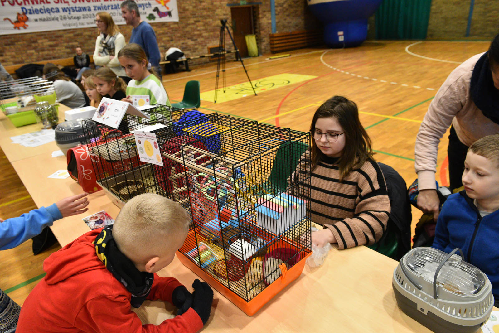 Wszystkie zwierzątka małe i duże w hali przy ulicy Lotniczej