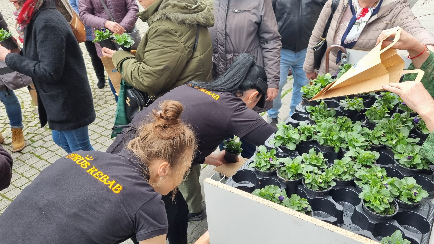 Powitanie wiosny z Legnickim Centrum Seniora