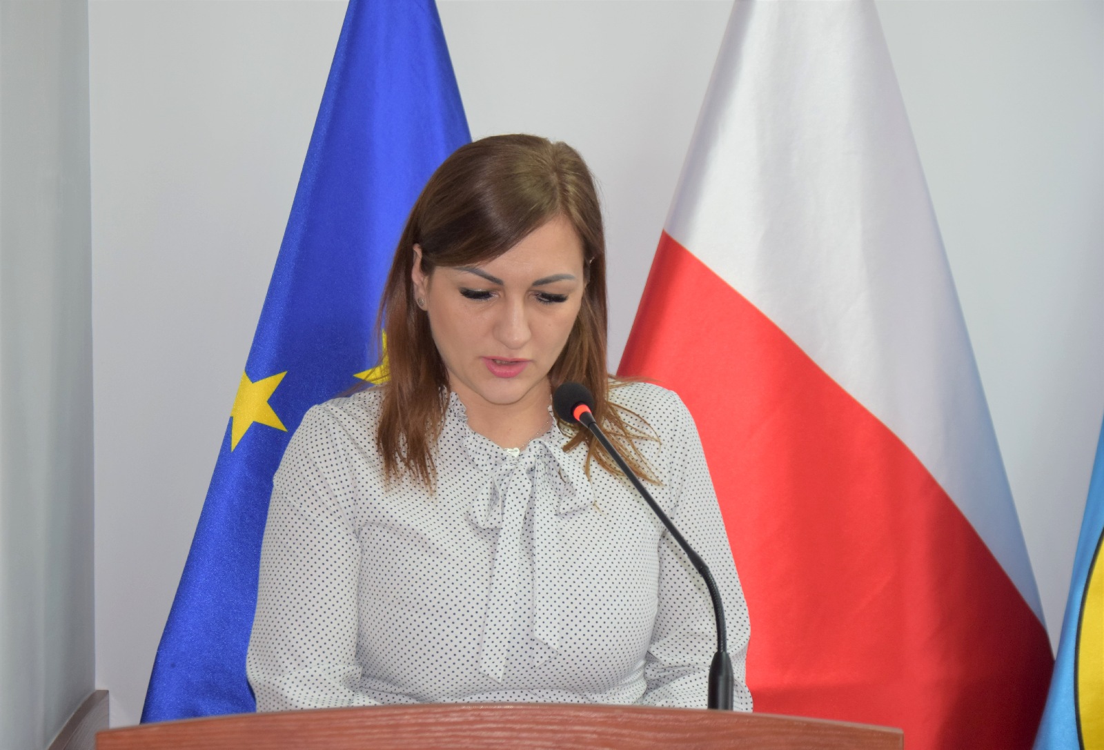 XLIX sesja Rady Powiatu Legnickiego