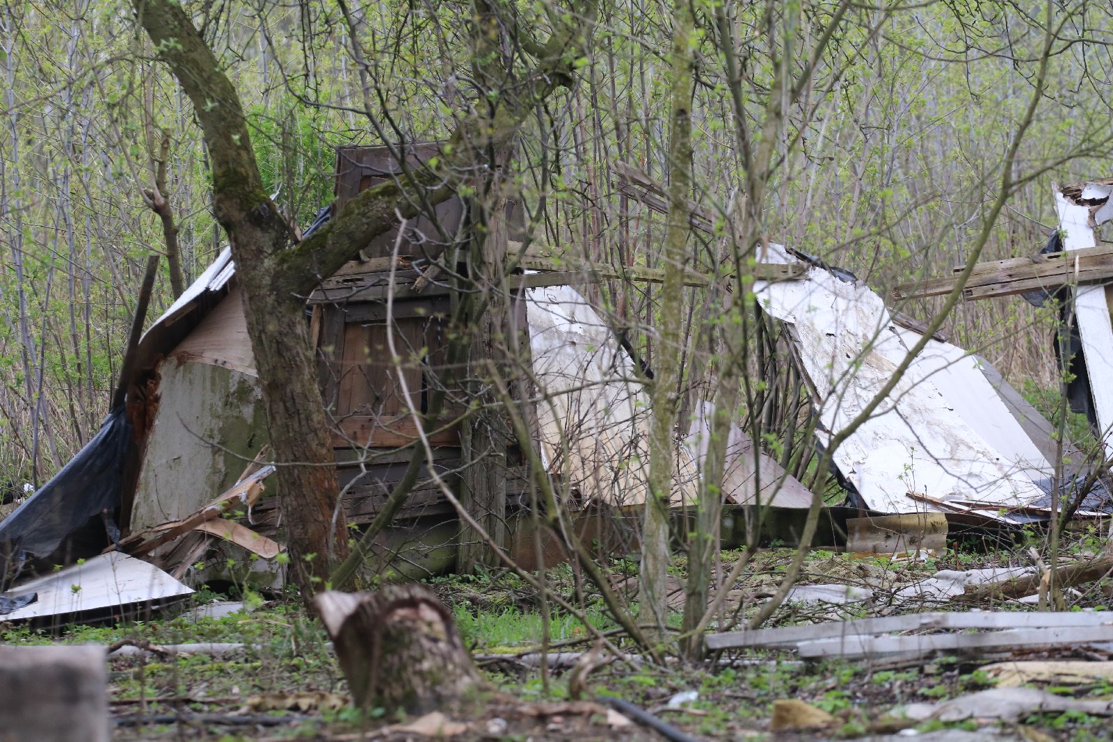 Pożar pustostanów przy ulicy Monterskiej