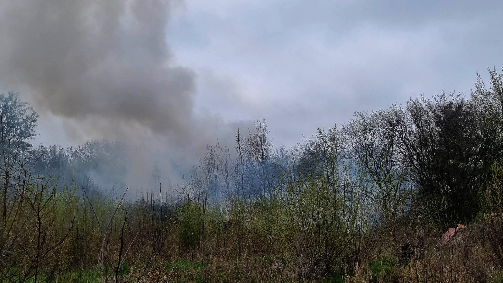 Pożar pustostanów przy ulicy Monterskiej