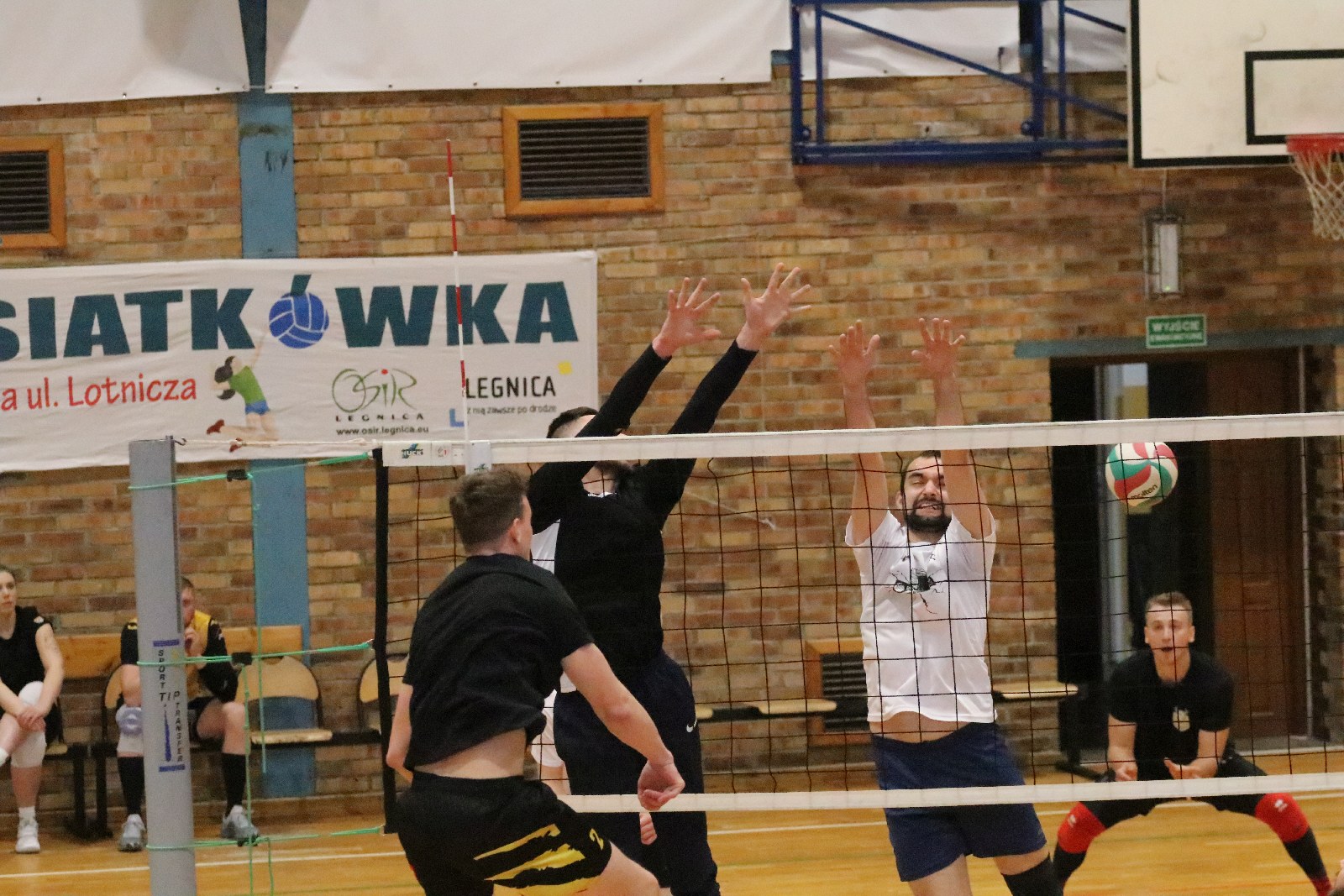 Wiosenna siatkówka z Ośrodkiem Sportu i Rekreacji Legnica

