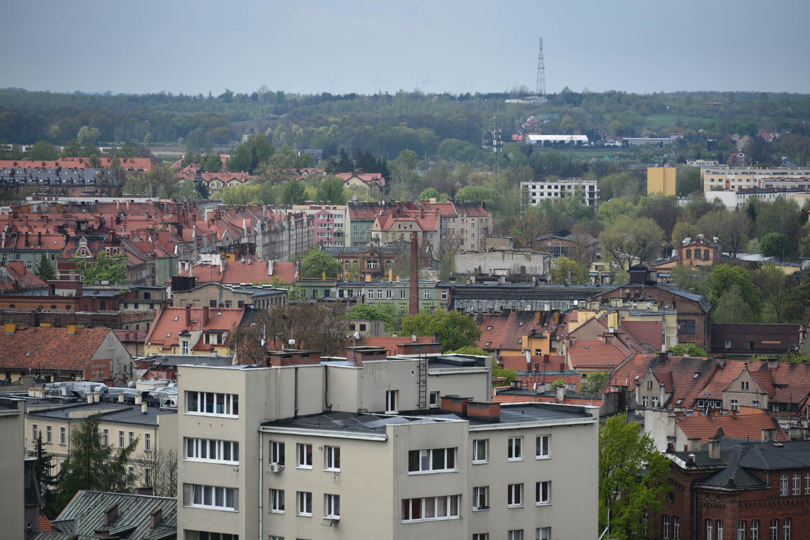 Sezon turystyczny w Kościele Mariackim już rozpoczęty
