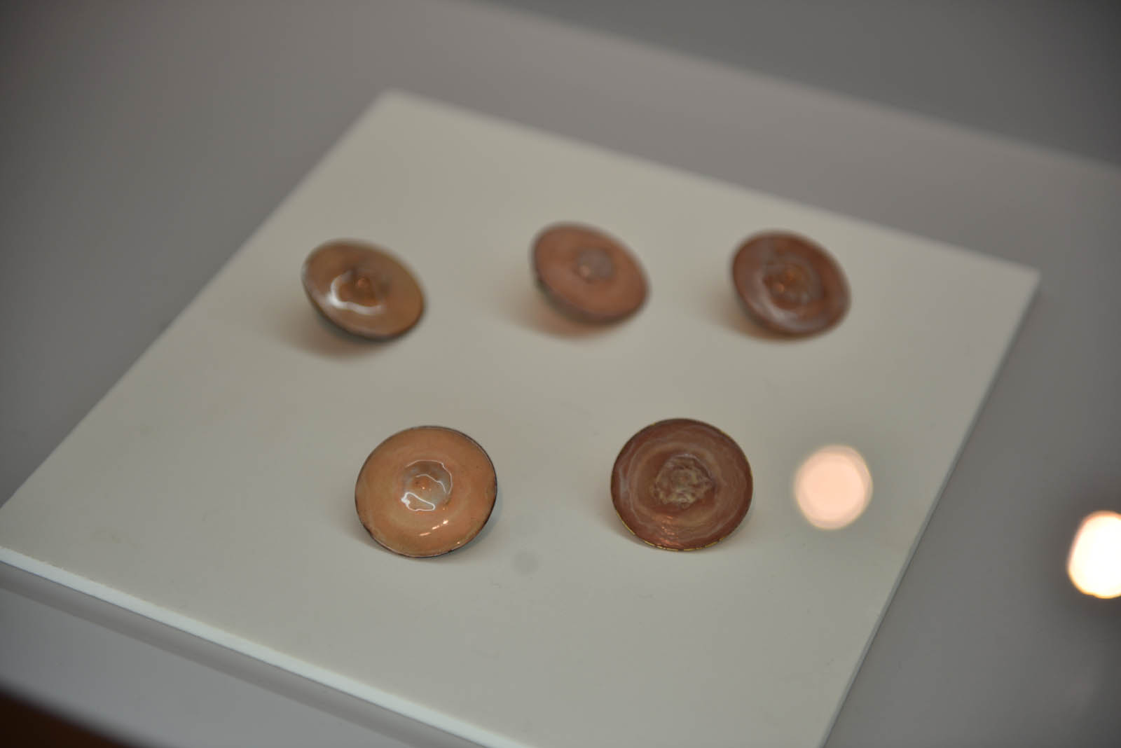 Srebrne Szkoły to wystawa, którą można zobaczyć w Muzeum Miedzi