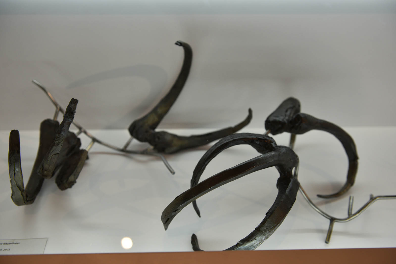 Srebrne Szkoły to wystawa, którą można zobaczyć w Muzeum Miedzi