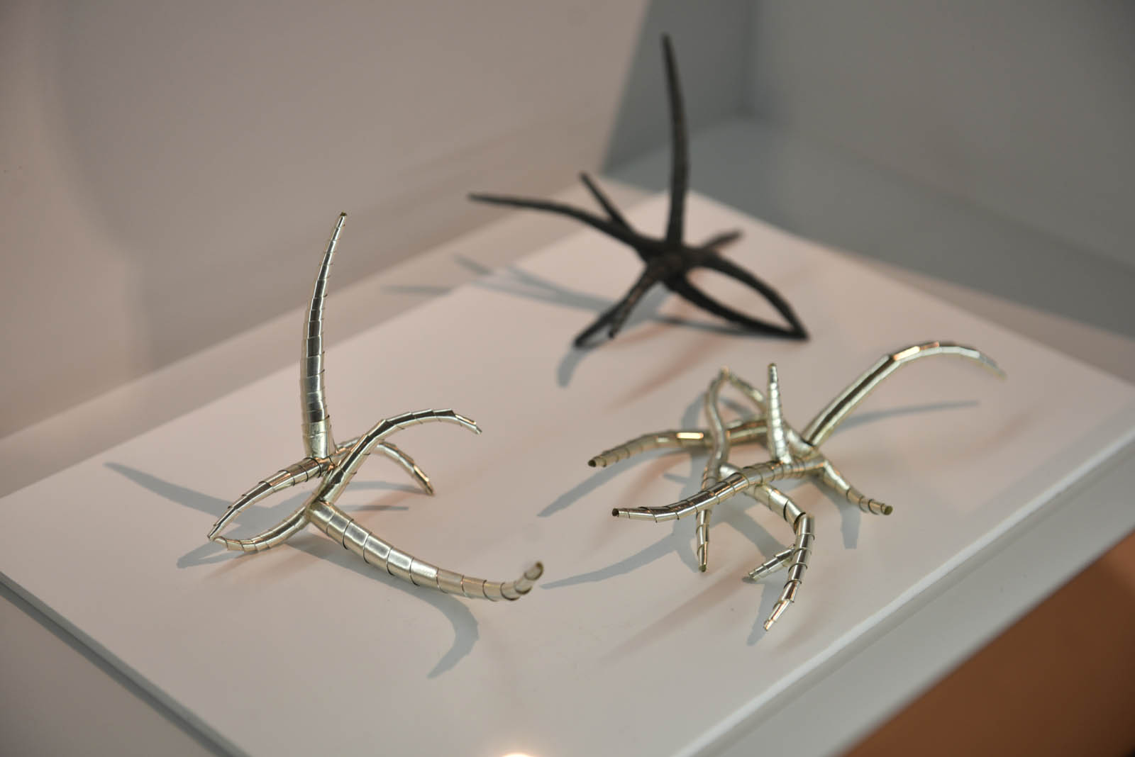 Srebrne Szkoły to wystawa, którą można zobaczyć w Muzeum Miedzi