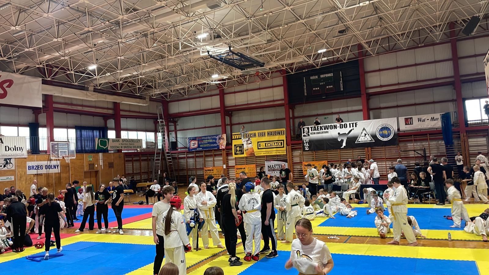 III Super Liga Taekwon-do Brzeg Dolny 2023