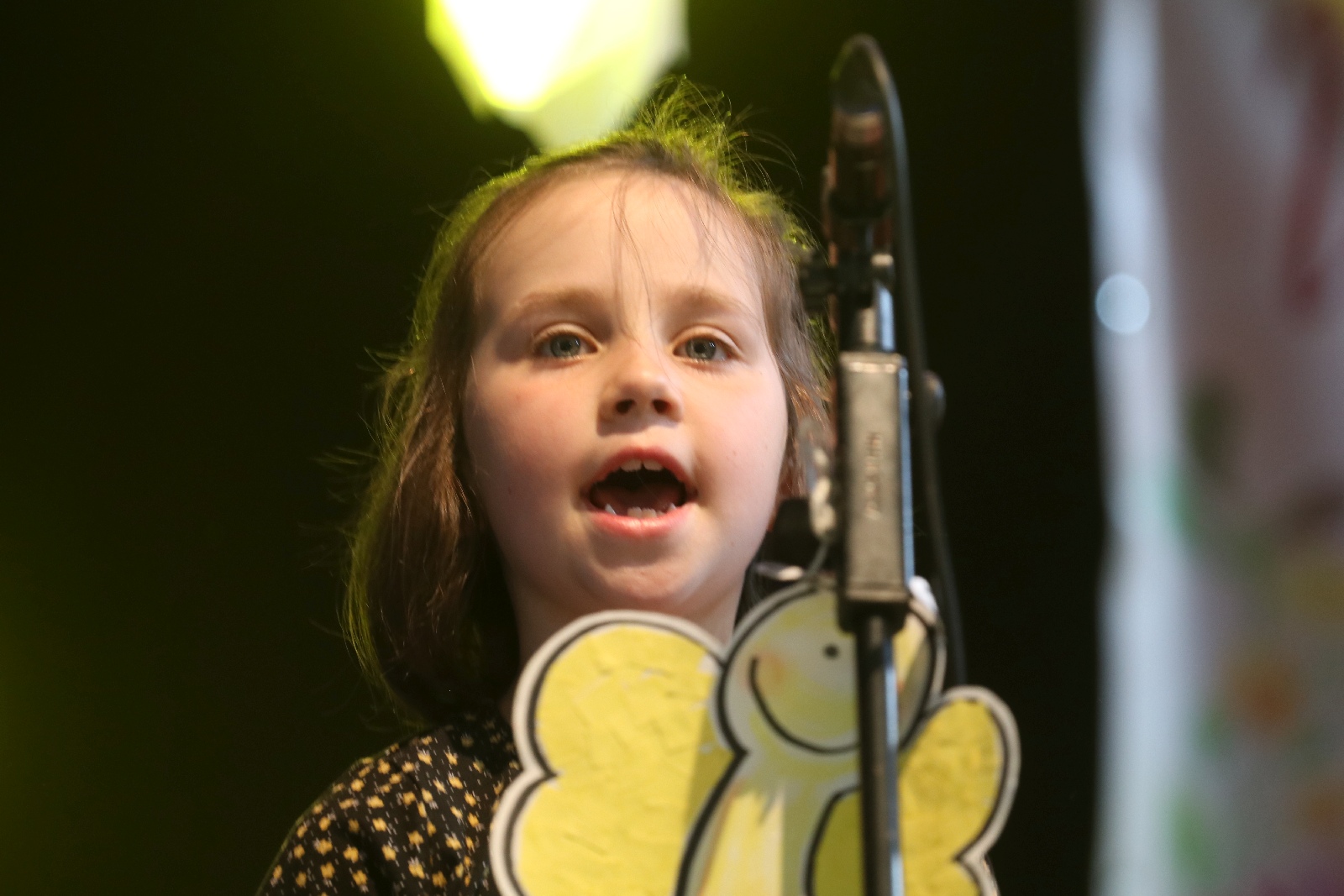 Wiosenny Festiwal Zespołów Kameralnych w Legnicy