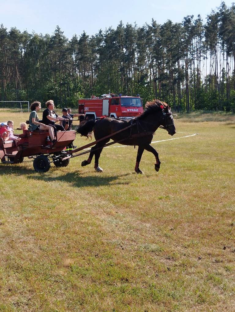 Dzień Dziecka w Miłogostowicach i Golance Dolnej