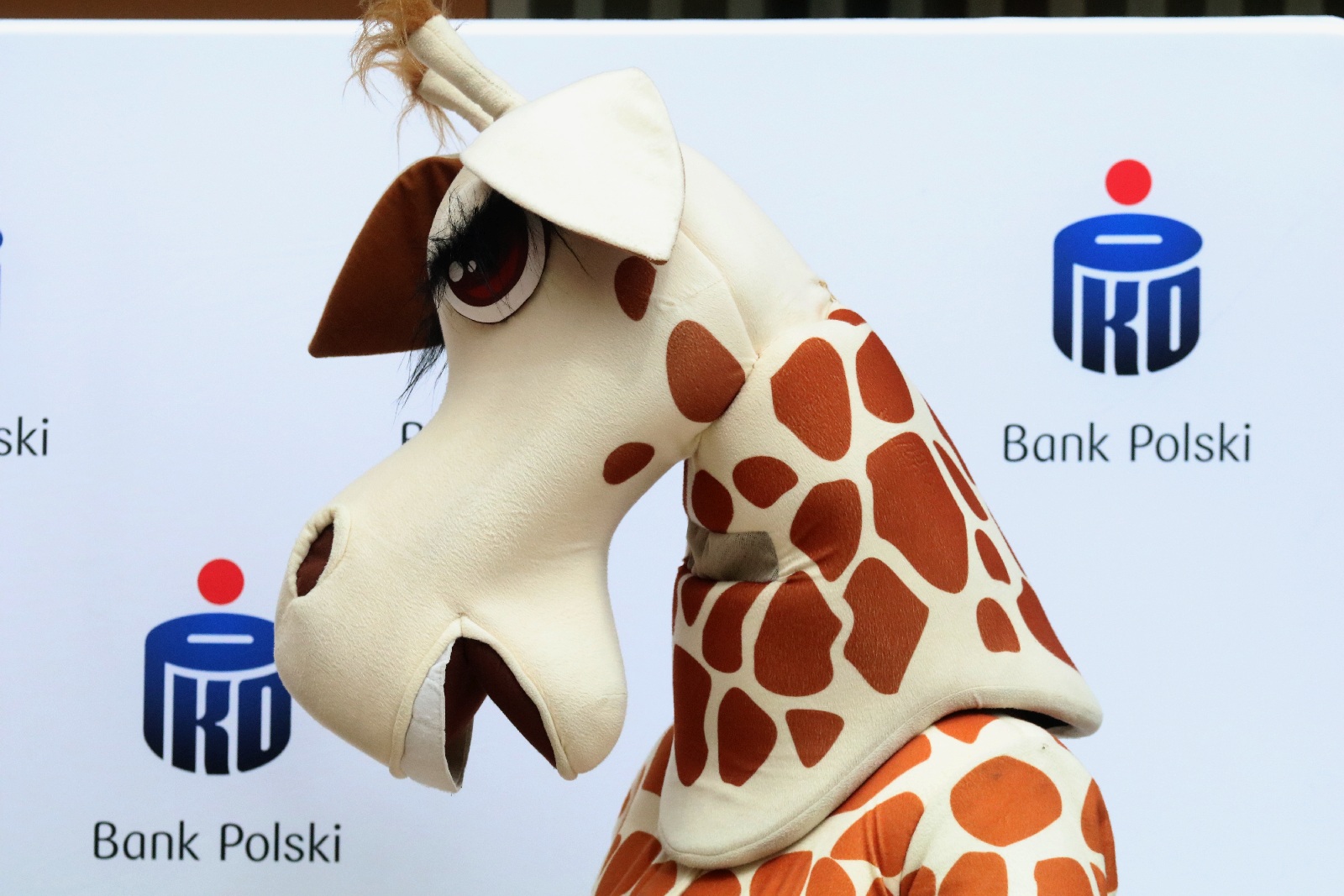 Rodzina bez barier. Powiatowy piknik integracyjny