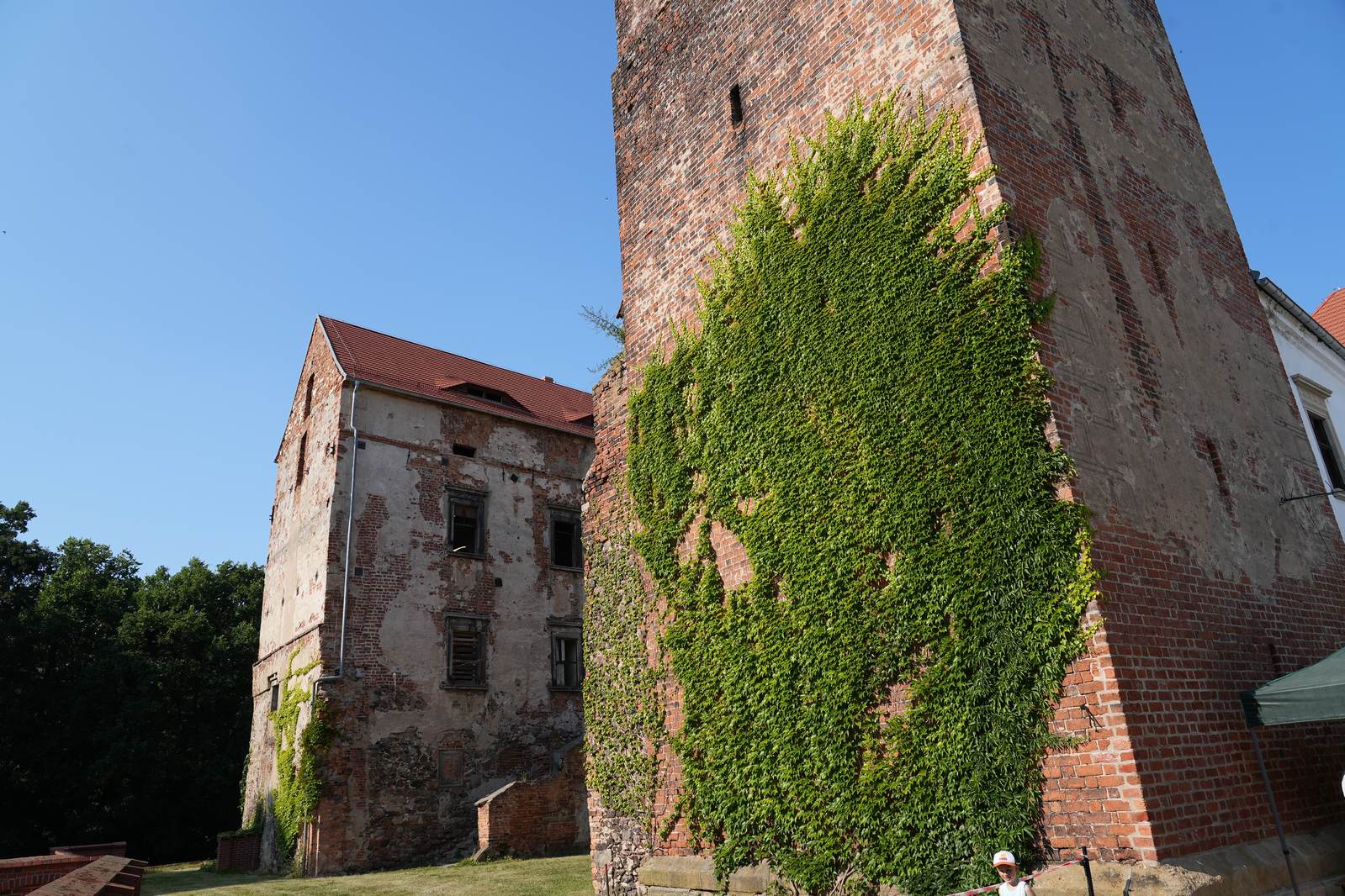 Takiego festiwalu w Prochowicach nie było: TAPAS MUSIC FESTIVAL