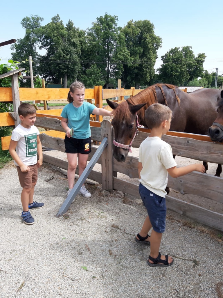 POKiS podsumowuje pierwszy aktywny miesiąc wakacji w gminie