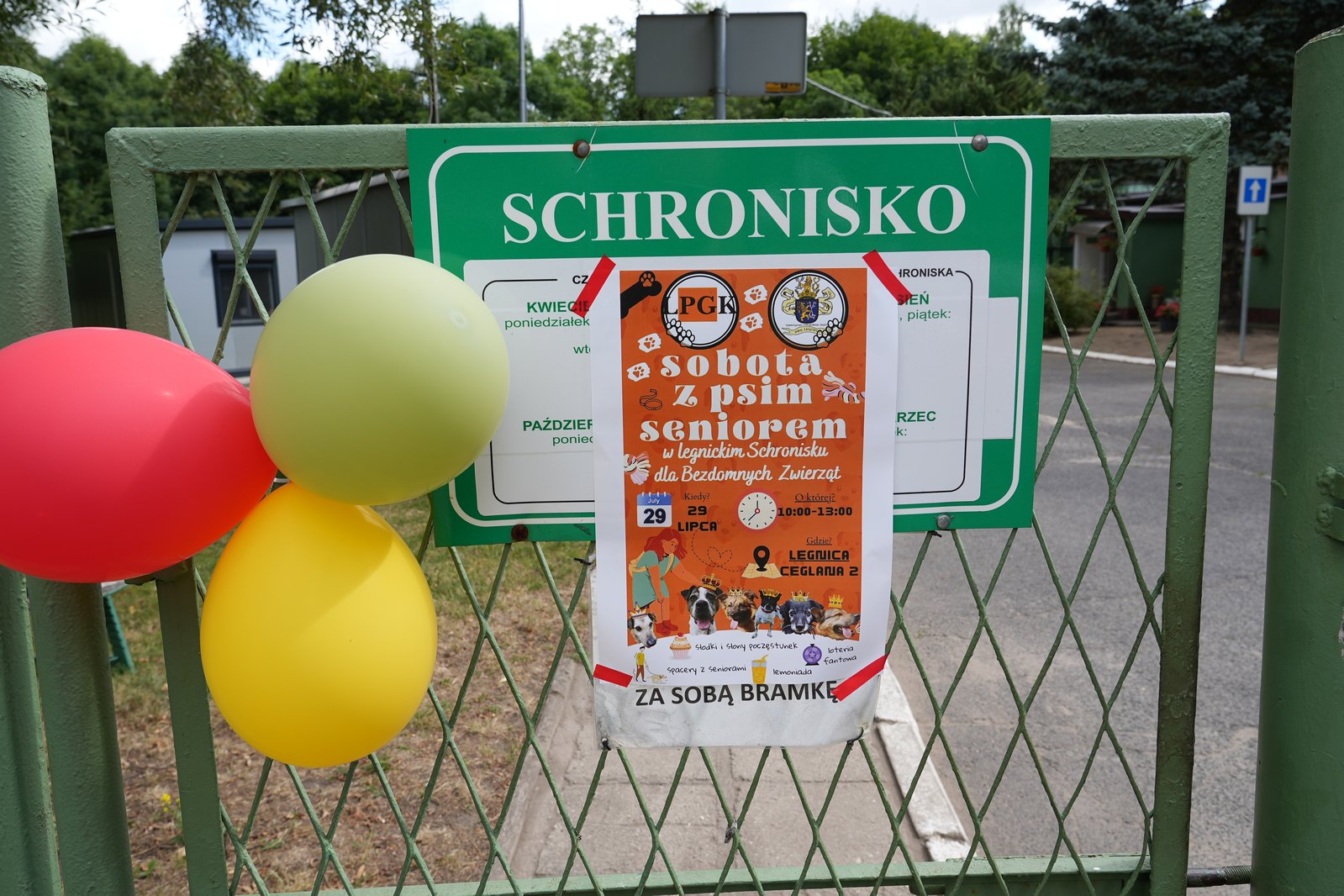 Sobota z psim seniorem w Schronisku dla Bezdomnych Zwierząt