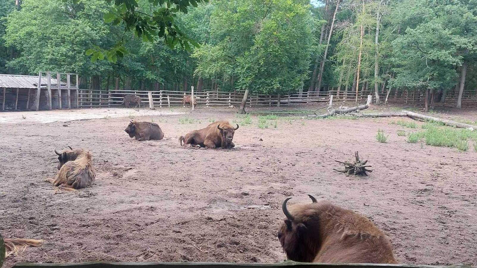 Uczestnicy kolonii w Międzyzdrojach nie mieli czasu na nudę