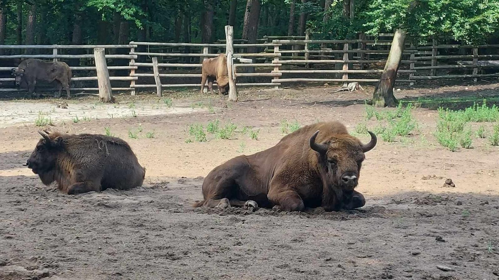 Uczestnicy kolonii w Międzyzdrojach nie mieli czasu na nudę