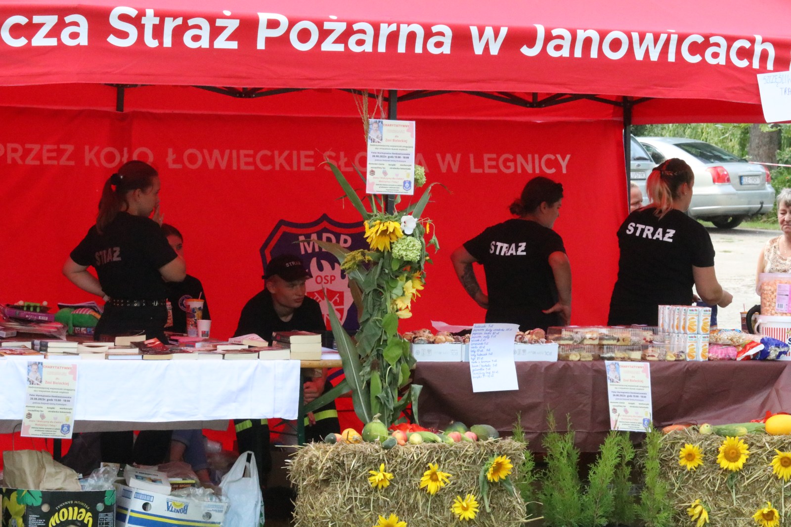 Dożynki gminne w Warmątowicach Sienkiewiczowskich