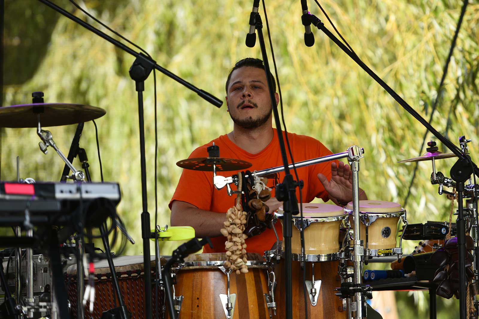 Pląsy w rytmach reggae rozpoczęły się z formacją Reaguj