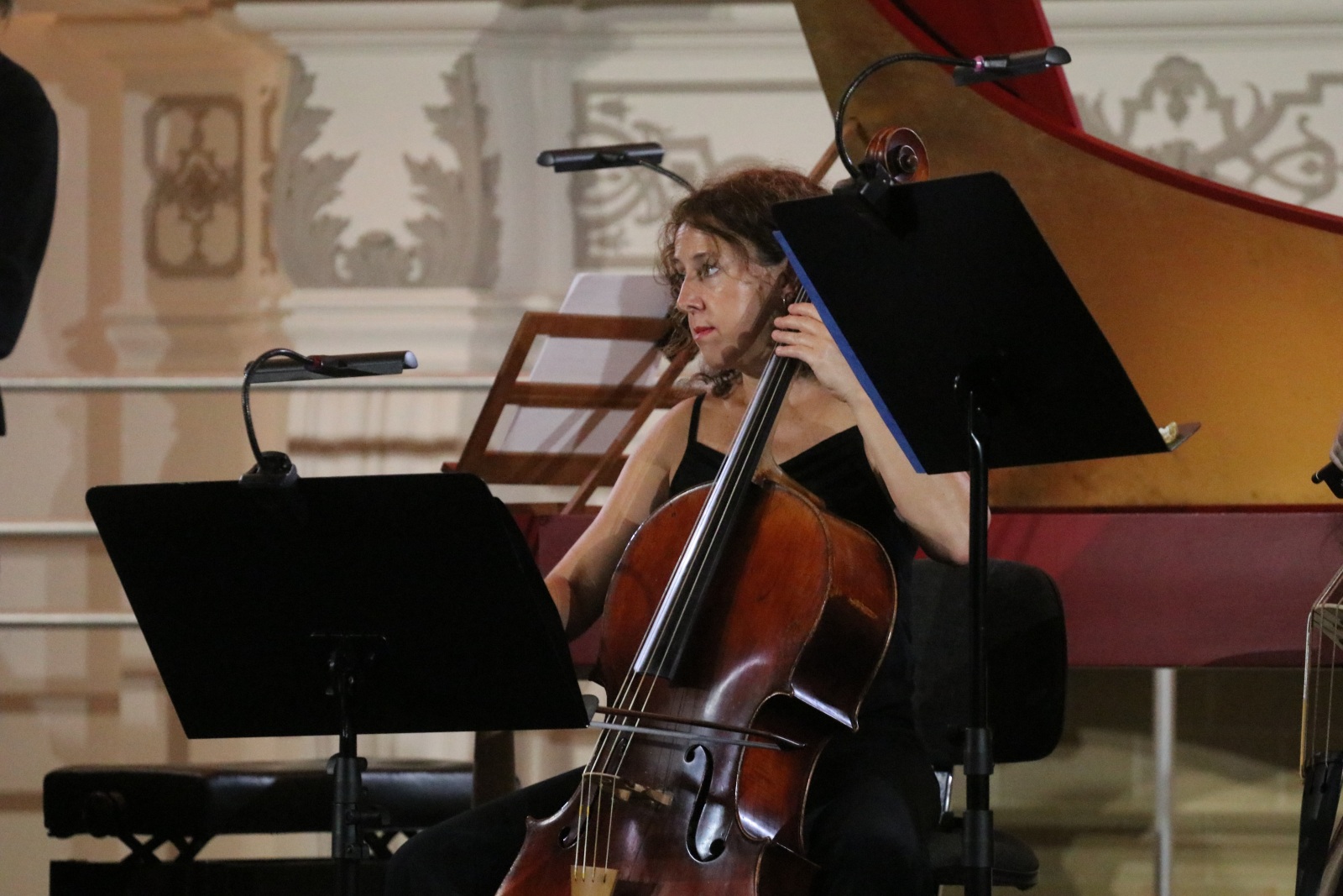 Wratislavia Cantans: Mater Dei. Koncert Musica Boscareccia