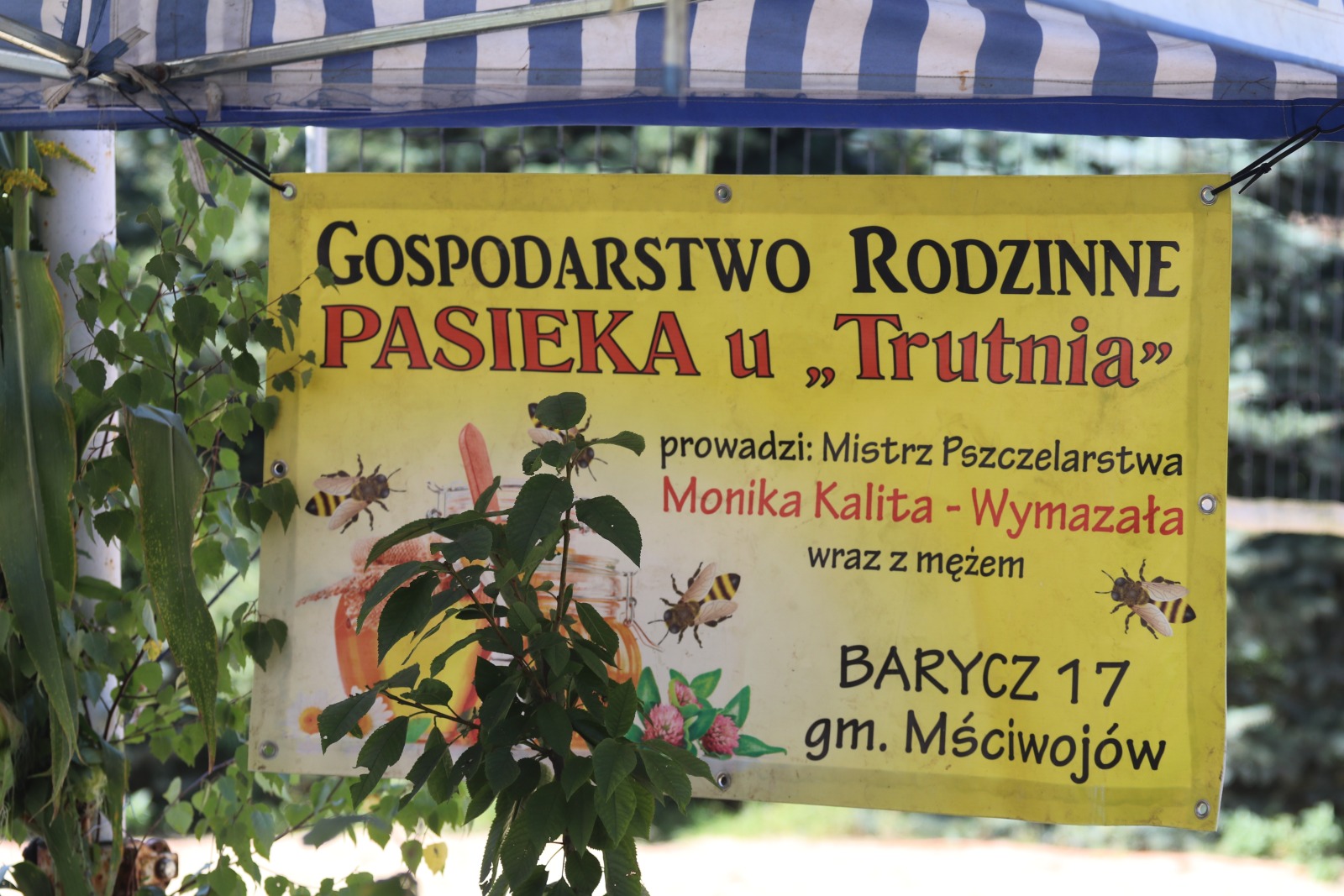 Akademia Zdrowia w Starym Młynie w Duninie